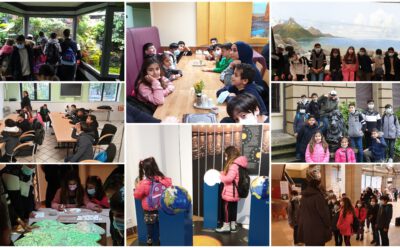 Besuch des Zoologischen Forschungsmuseum mit Kindern (Museum König)