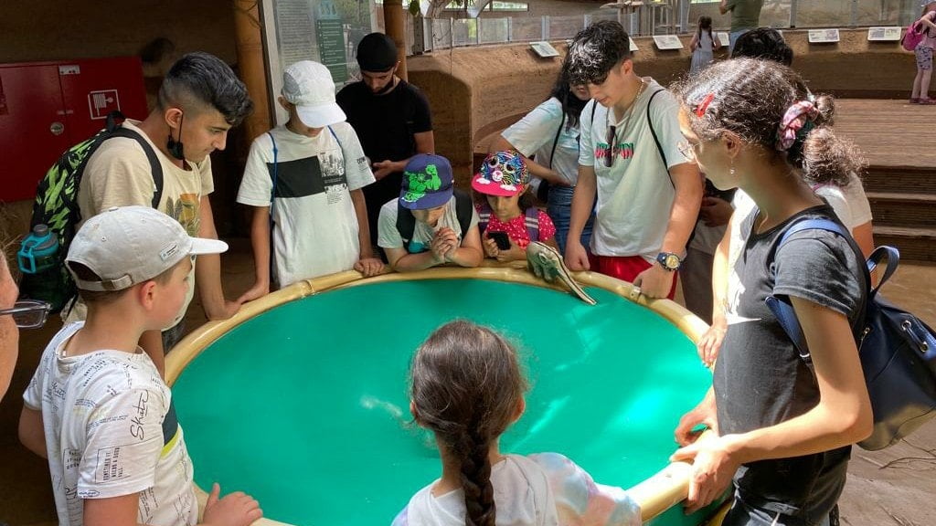 Entdeckerrallye – Tiere erleben, beobachten und verstehen